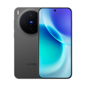 Vivo X300