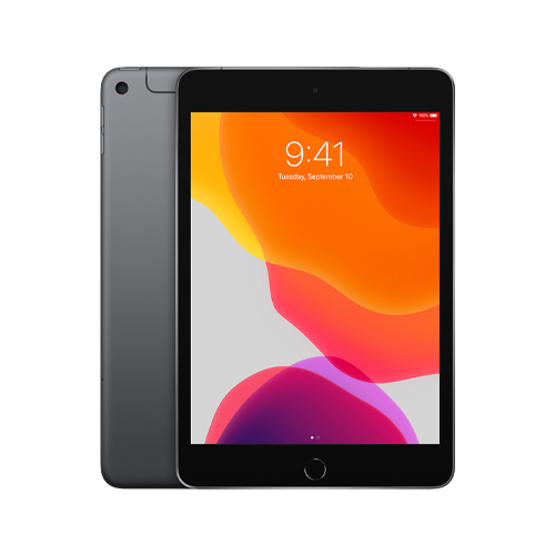 ipad mini 5 grey