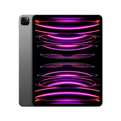 ipad pro 12.9 inch 6th gen space grey ipad pro 12.9 inch 6th gen space grey