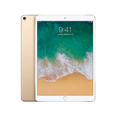 ipad pro 9.7 inch 1st gen 2016 gold ipad pro 9.7 inch 1st gen 2016 gold